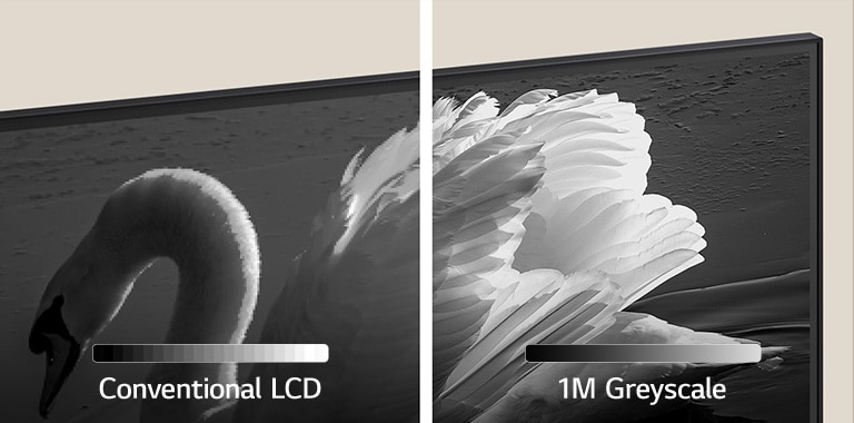 Uma imagem em tela dividida de um cisne. À esquerda, as palavras "Conventional LCD" (LCD convencional) e uma barra de cores que vai do preto ao branco com incrementos acentuados é exibida na frente do cisne, que parece pixelado e escuro. À direita, as palavras "1M Greyscale" (Escala de cinza 1M) e uma barra de cores com gradação suave do preto ao branco é exibida na frente do cisne, que é nítido e tem bom contraste.