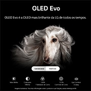 LG Smart TV LG Evo 55'' 4K 120Hz G-Sync FreeSync Inteligência Artificial ThinQ Google Alexa OLED55C2PSA, OLED55C2PSA