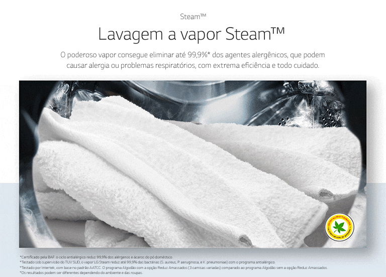 Lavagem a vapor Steam™