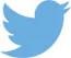  Ícone do Twitter em azul claro com um pássaro em voo à direita.