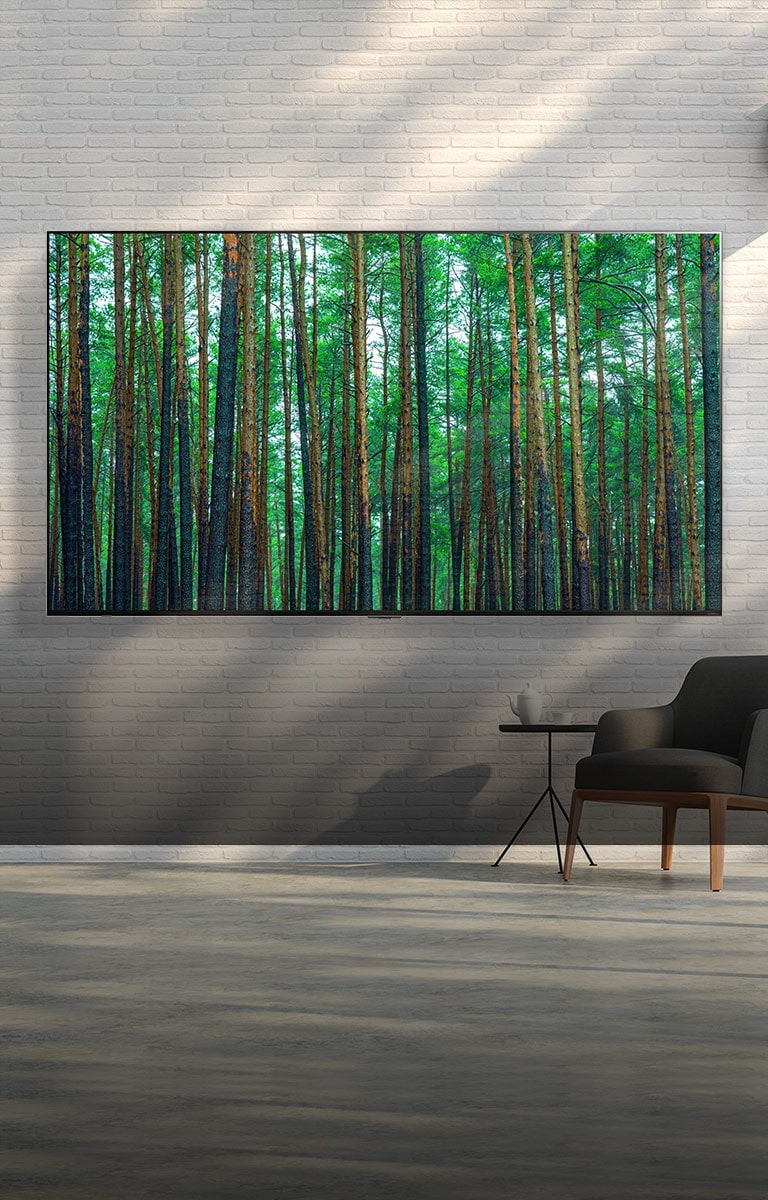TV LG QNED MiniLED instalada em uma parede de tijolos branca, com uma pequena poltrona e uma mesinha à sua frente. A tela mostra uma floresta.