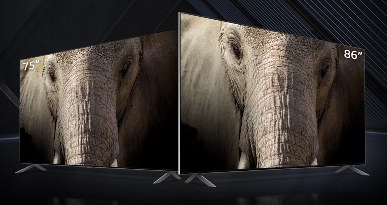As TVs LG QNED Mini-LED de 75 e 86 polegadas estão dispostas lado a lado contra um fundo escuro. As telas mostram a imagem em close do rosto de um elefante.