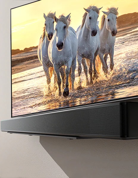 Uma TV e um soundbar em uma prateleira com uma tela exibindo a imagem de um cavalo branco correndo em uma praia azulada.