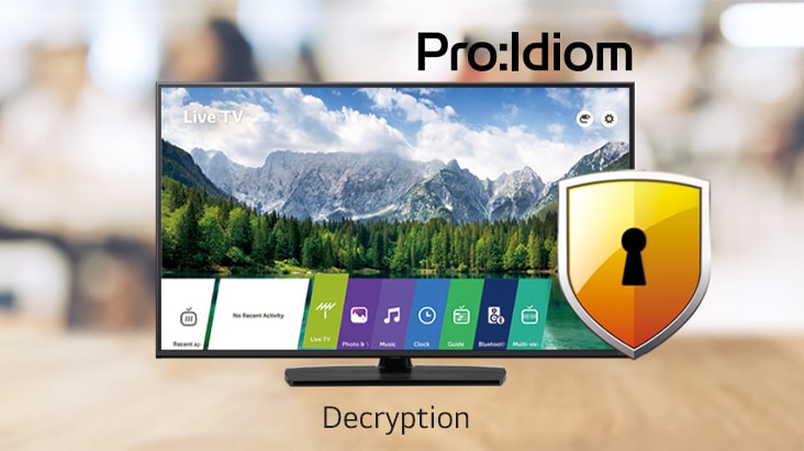 Using Pro:Idiom can prevent illegal copying of content.