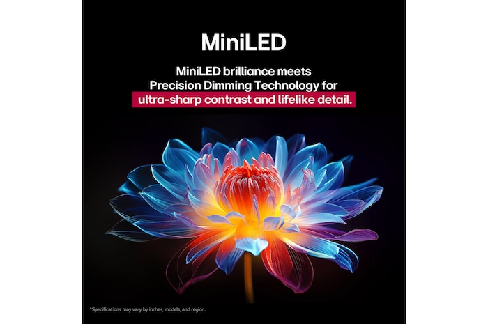 3D holographic flower in many different shades and hues against a black background. The definition and detail of the flower shows off QNED MiniLED's capability to produce visuals with exceptional color, brightness, and contrast. The title talks about how MiniLED enhances clarity and provides exceptional contrast.