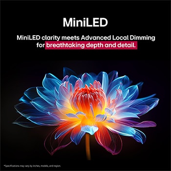 3D holographic flower in many different shades and hues against a black background. The definition and detail of the flower shows off QNED MiniLED's capability to produce visuals with exceptional colour, brightness, and contrast. The title talks about how MiniLED enhances clarity and provides exceptional contrast.