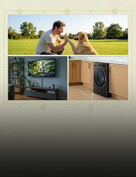 Images featuring LG home appliances 