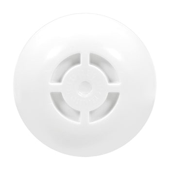 bottom view