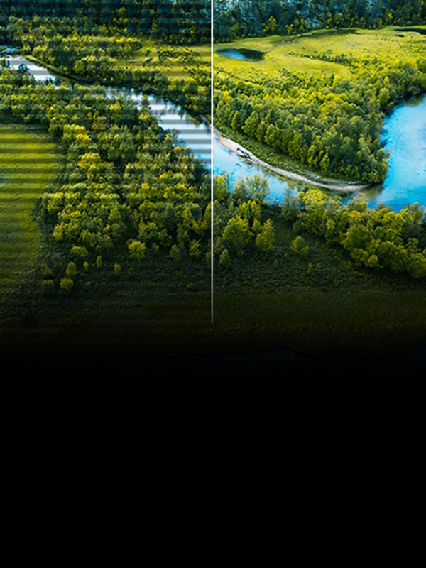 LG monitor showing a landscape split between visible scan lines and a clearer image illustrates Flicker Safe for more comfortable viewing.