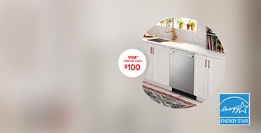 $100 VISA card with FlushFit™ Dishwashers