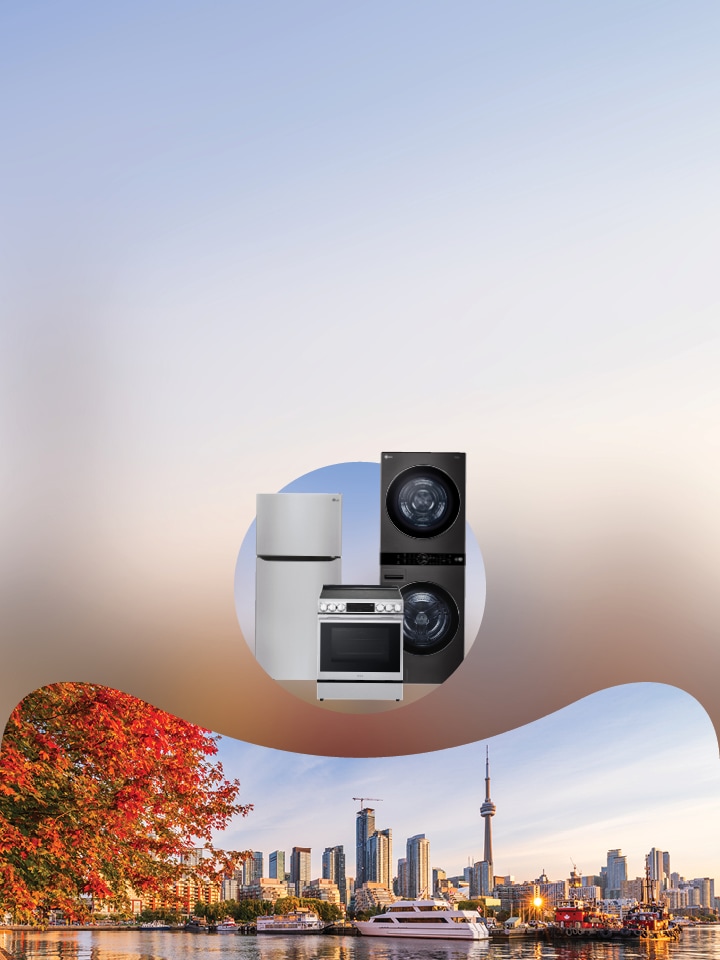 Energy savings rebate programs