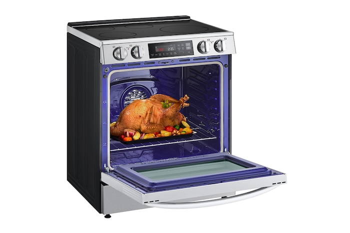 Left Side Oven View With Food and Trey Set