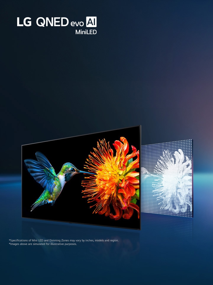 A family is watching a bright aquatic scene on a LG QNED TV with a LG Soundbar, in a bright and natural living space.