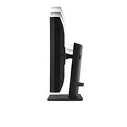Pivot View