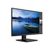 LG 24'' TAA IPS FHD Monitor with USB Type-C™, Flicker Safe & Ergonomic Stand with Two-way Pivot, 24BL650C-B