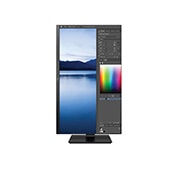 LG 24'' TAA IPS FHD Monitor with USB Type-C™, Flicker Safe & Ergonomic Stand with Two-way Pivot, 24BL650C-B