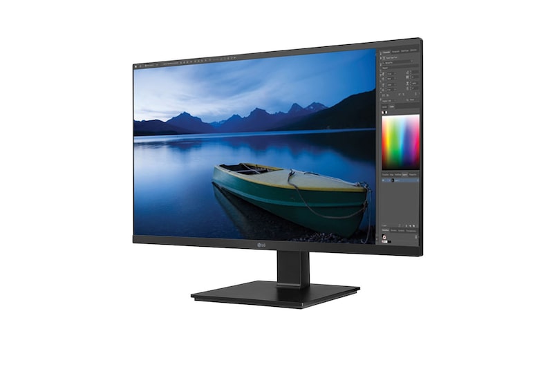 LG 24'' TAA IPS FHD Monitor with USB Type-C™, Flicker Safe & Ergonomic Stand with Two-way Pivot, 24BL650C-B