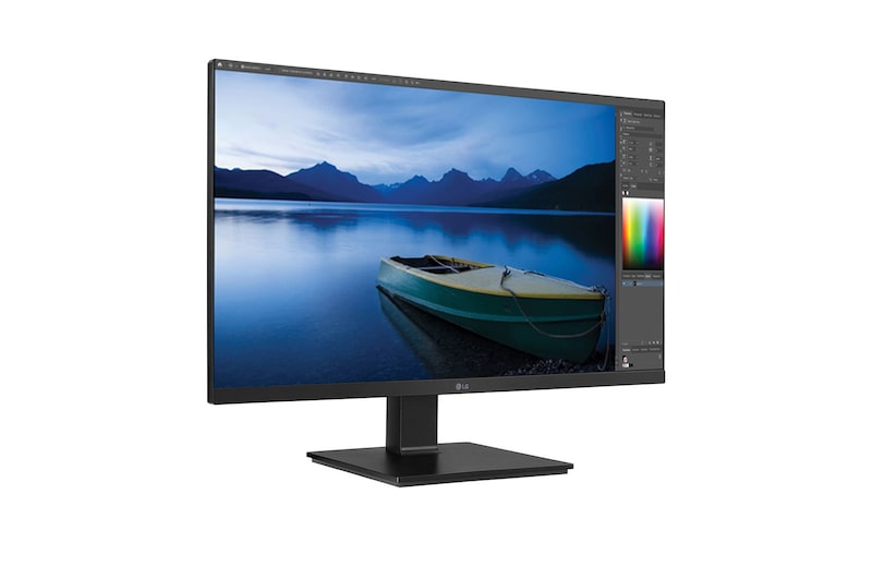 LG 24'' TAA IPS FHD Monitor with USB Type-C™, Flicker Safe & Ergonomic Stand with Two-way Pivot, 24BL650C-B