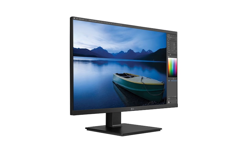 LG 24'' TAA IPS FHD Monitor with USB Type-C™, Flicker Safe & Ergonomic Stand with Two-way Pivot, 24BL650C-B