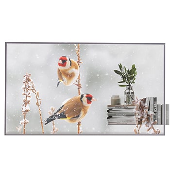 Front view of Transparent OLED 55EW5P-M