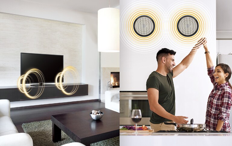 External Speaker Out