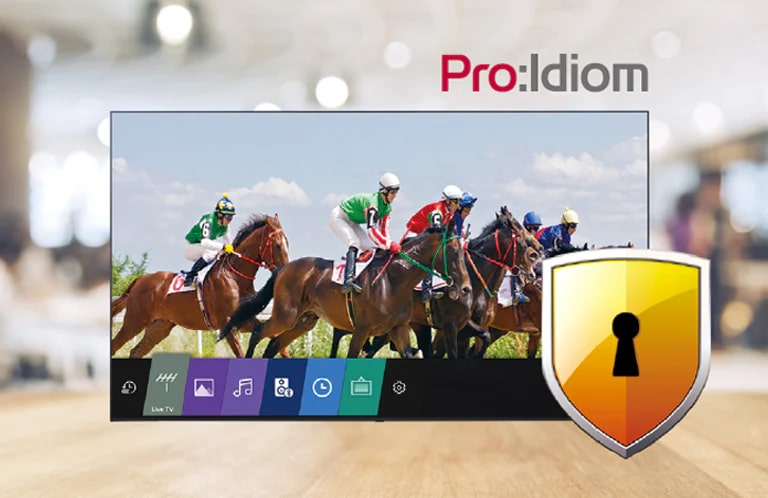 Using Pro:Idiom can prevent illegal copying of content.