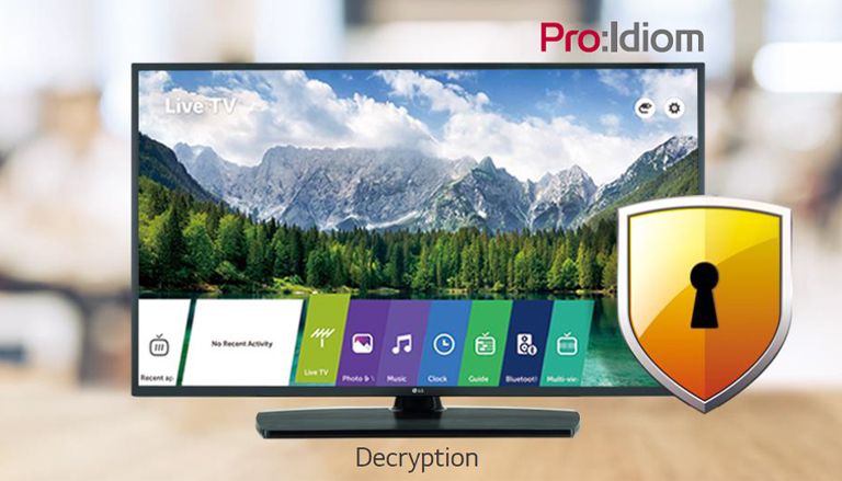 Using Pro:Idiom can prevent illegal copying of content.