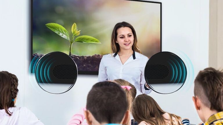 Audio Experience