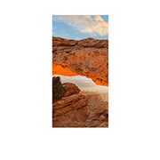 Front View With Infill Image