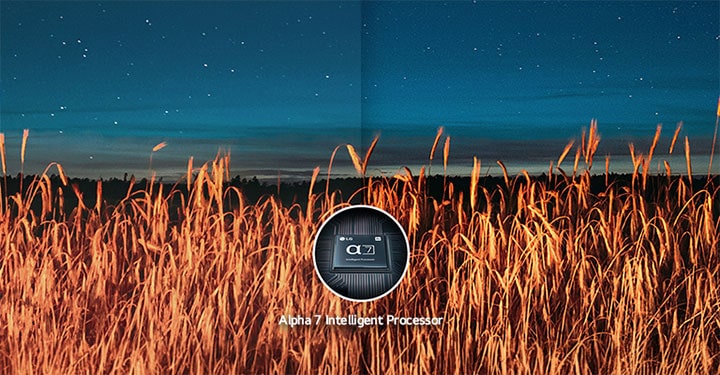 The night view image on the right, which was optimized with the Alpha 7 Intelligent Processor, is sharper and more detailed than the night view image on the left.