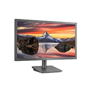 LG 21.45" Full HD Display with AMD FreeSync™, 22MP44B-C