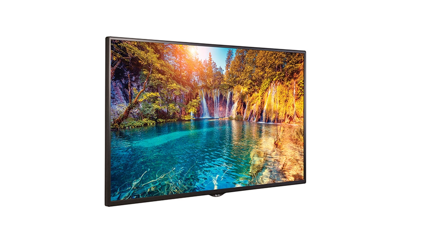 LG 65" class (64.5" diagonal) Edge-Lit LED IPS Digital Signage Display, 65SE3KB-B