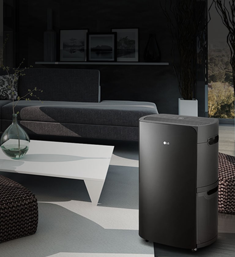 “The best horse in [the] race.” – Reviewed.com