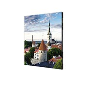 LG P2.0 700 nits  LG LED Curve Series for Indoor, LAP020EP