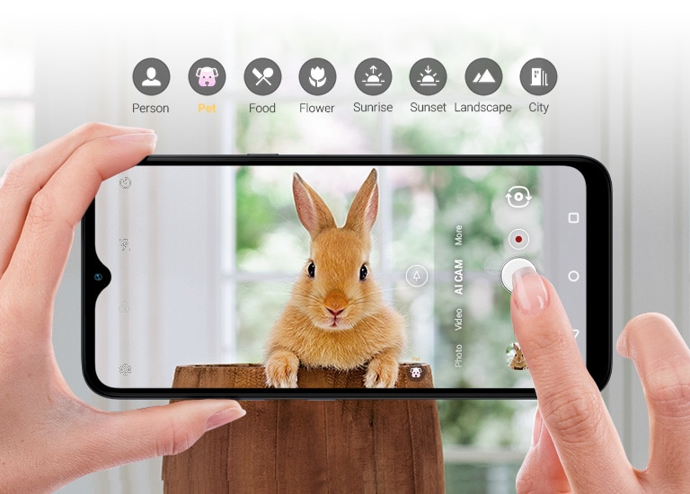 Closeup of someone holding a smartphone shooting a rabbit