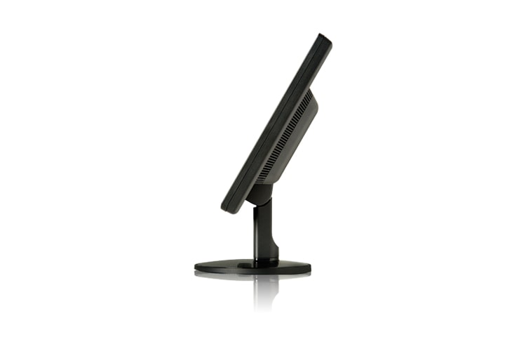 LG 20 inch Class Widescreen LCD Monitor, W2042TQ-BF