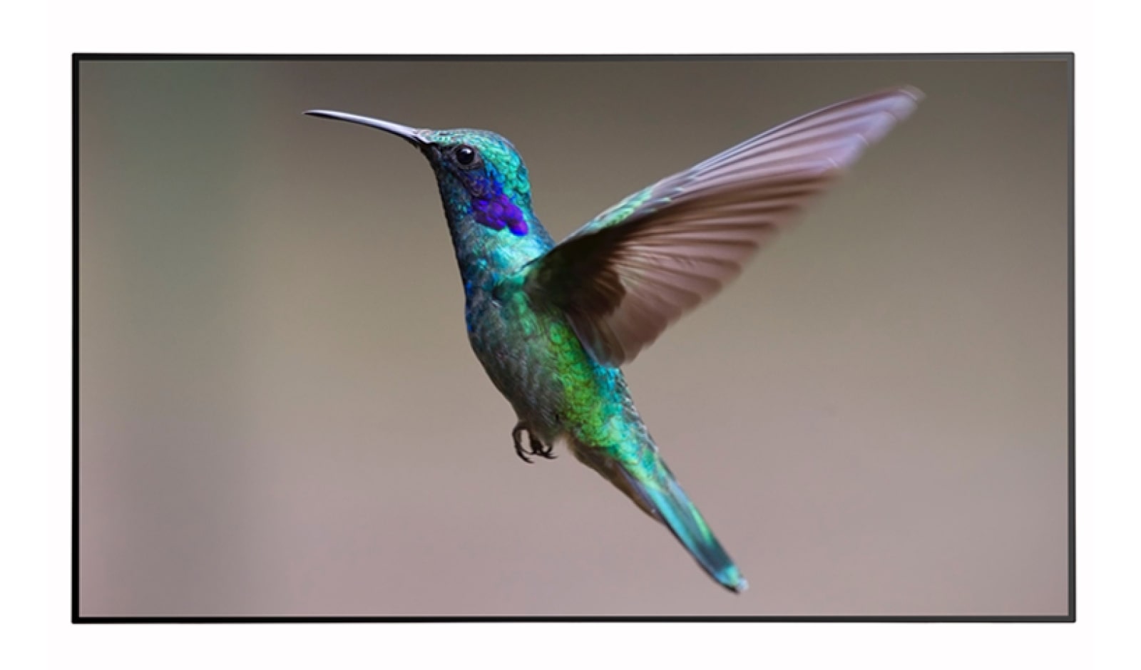 LG Wallpaper OLED Signage, 55EJ5C-B