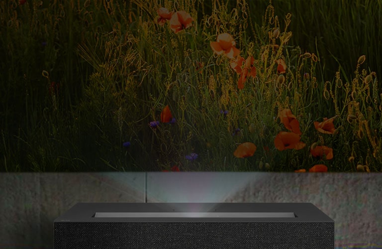 Brightness Optimizer II.