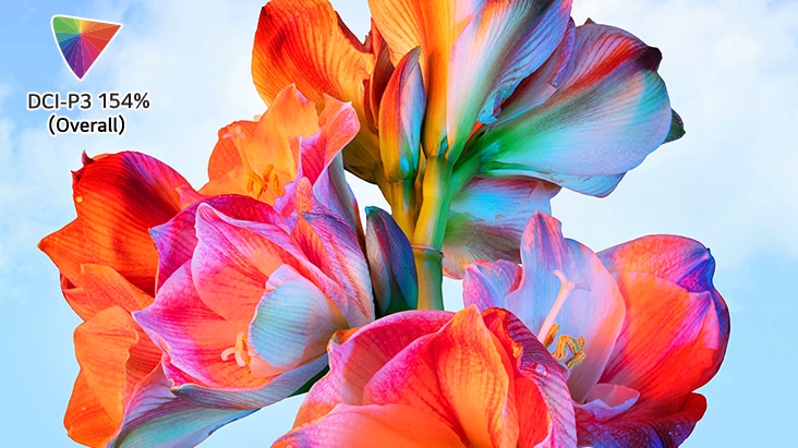 Vivid flower image with DCI-P3 154% colour logo on top left 