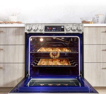 Lg probake sale convection oven