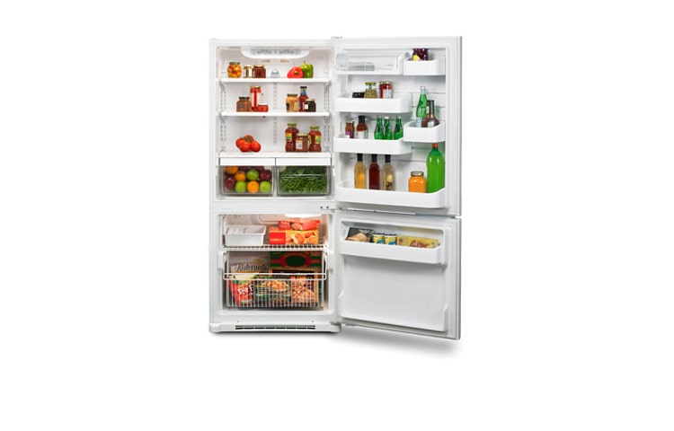LG 19.7 cu.ft. Bottom Freezer Refrigerator with Swing Freezer Door, LBN20513WW