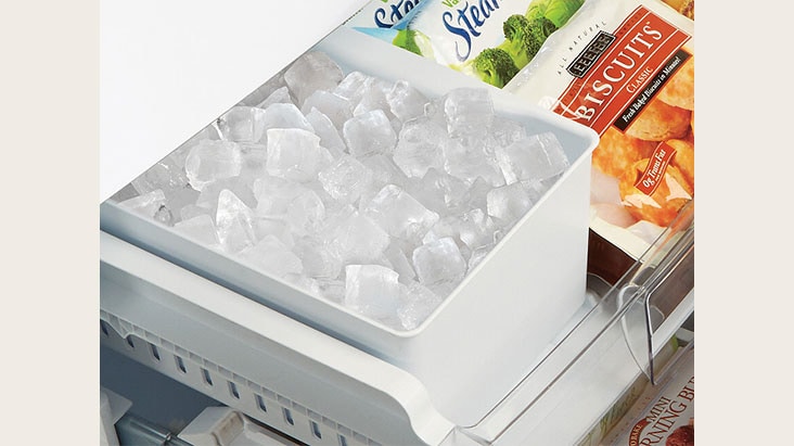Factory Installed Automatic Ice Make