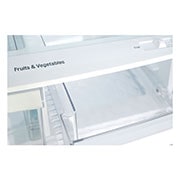 LG 30" French Door Refrigerator with Smart Cooling System, 22 cu. Ft., LFD22716ST