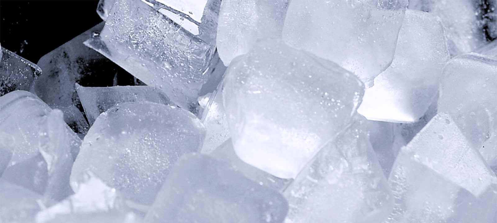 Factory Installed Automatic Ice Maker