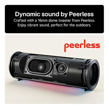 USP card: Dome tweeter