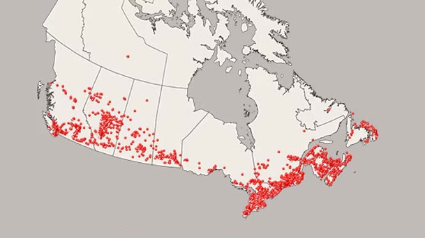 Trusted coverage from coast to coast