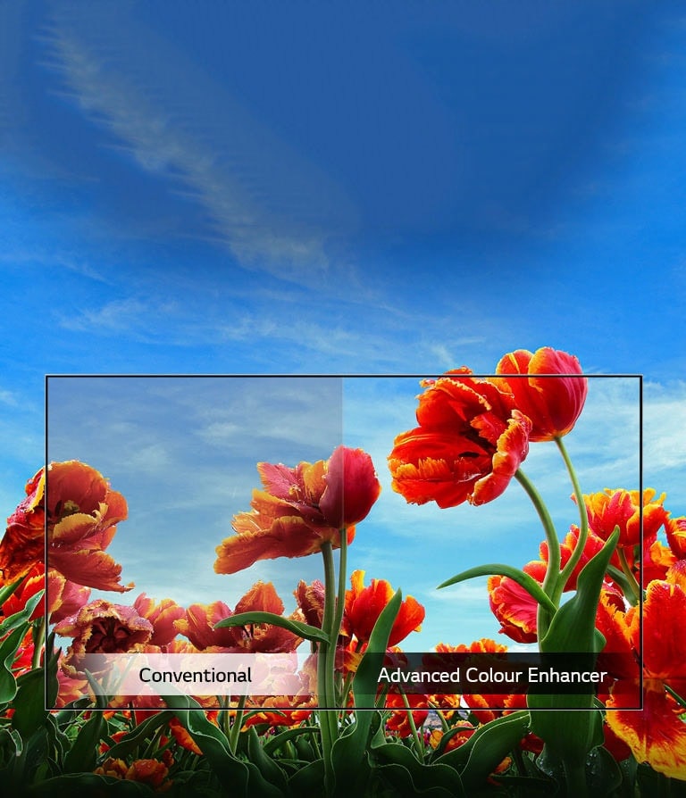 Dynamic colour clarity