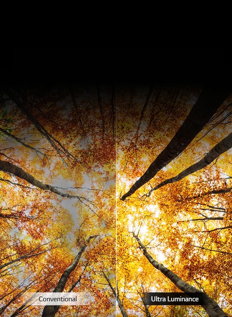 UHDTV_Ultra_Luminance_D