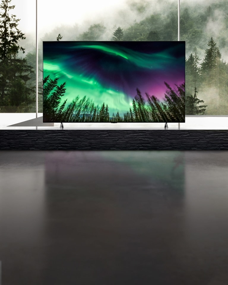 Camera moves from a close-up of top of TV down to a close-up of front of TV. TV screen shows green aurora. Camera zooms out to show very wide living room area. The living room is gray overall and there shows a forest through window outside.