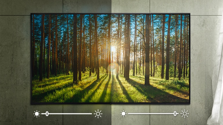 A screen, depicting an image of a forest, having its brightness being adjusted for depending on the surrounding.